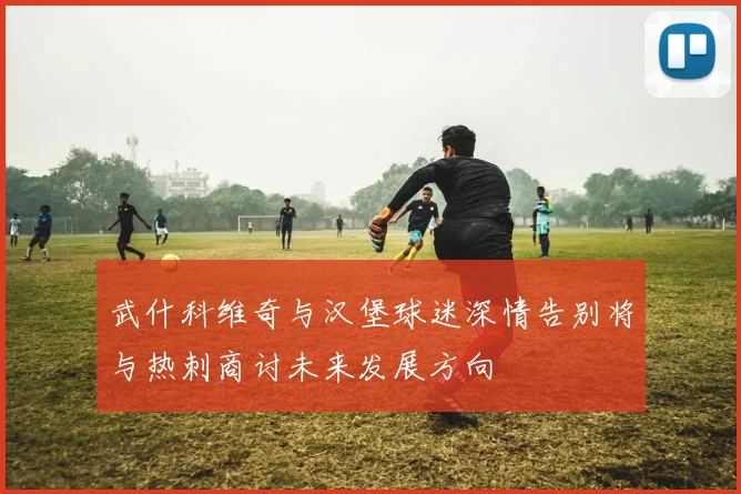 武什科维奇与汉堡球迷深情告别将与热刺商讨未来发展方向
